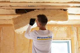 Best Blown-In Insulation  in Eden Prairie, MN